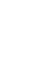 mobile phone icon button